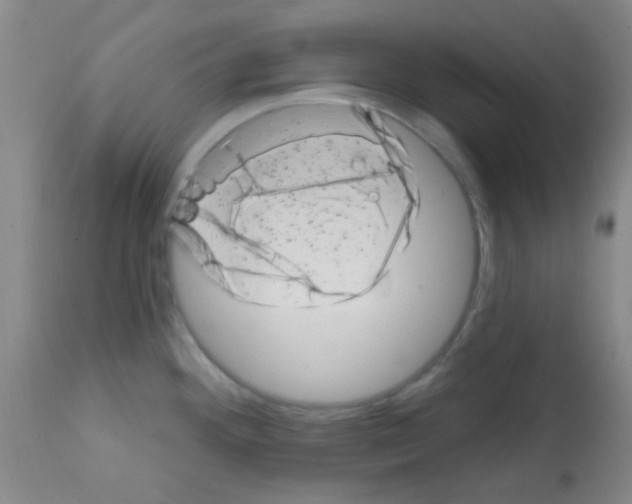 X0000113201292200910221031