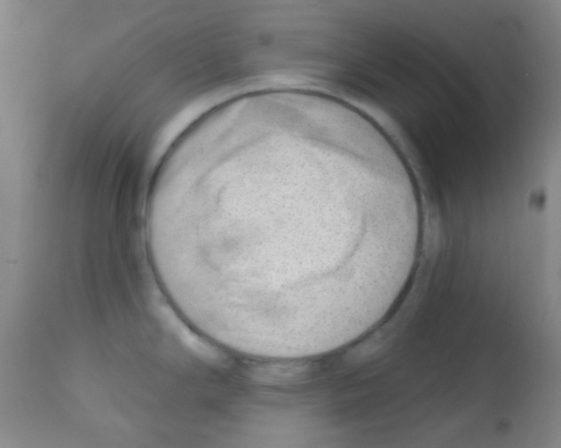 X0000113201294200910221031