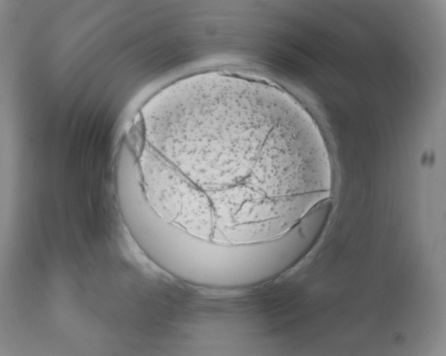 X0000113201296200910221031