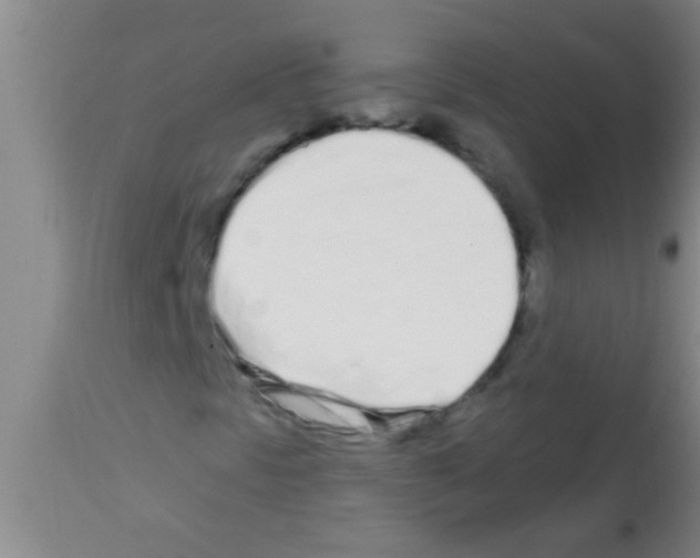 X0000113201297200910221031