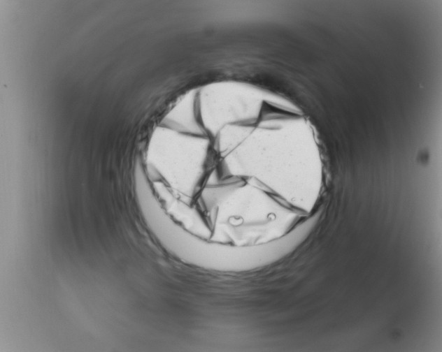 X0000113201298200910221031