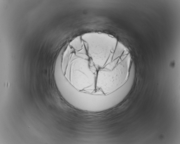 X0000113201300200910221031