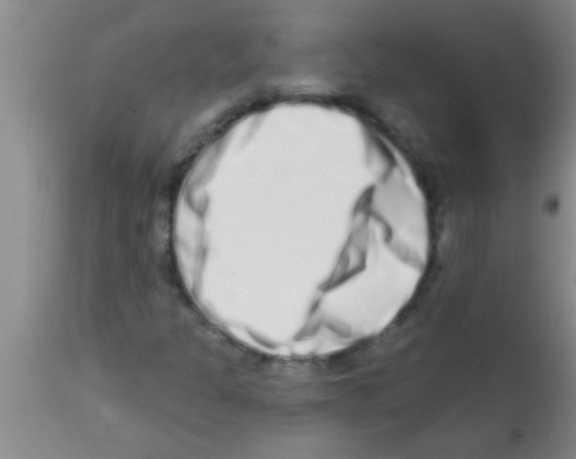 X0000113201301200910221031