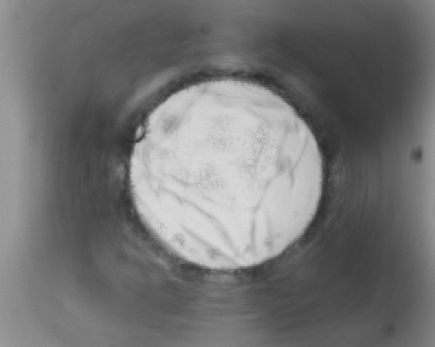 X0000113201302200910221031