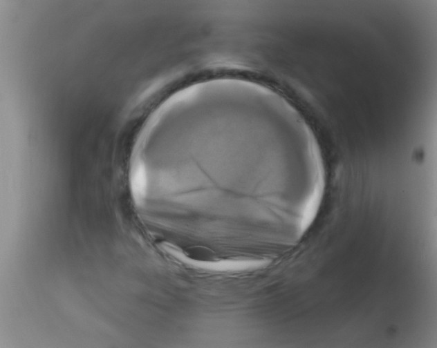 X0000113201303200910221031