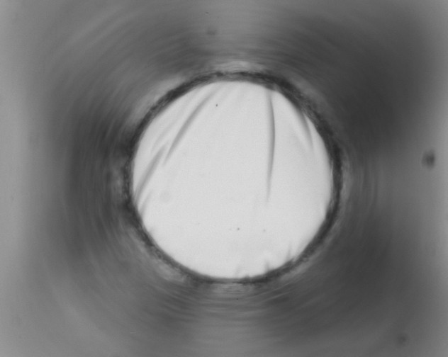 X0000113201305200910221031