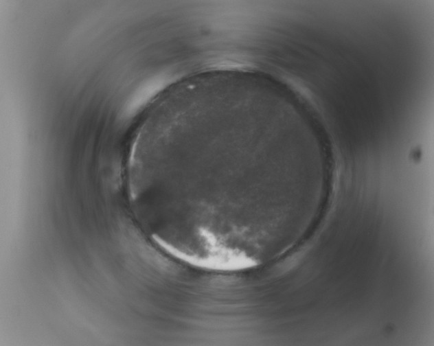 X0000113201306200910221031