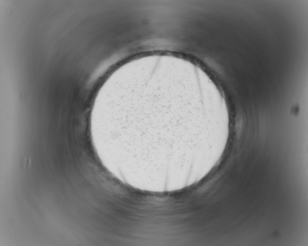 X0000113201309200910221031