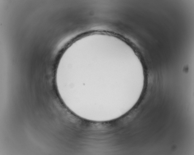 X0000113201311200910221031