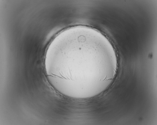 X0000113201312200910221031