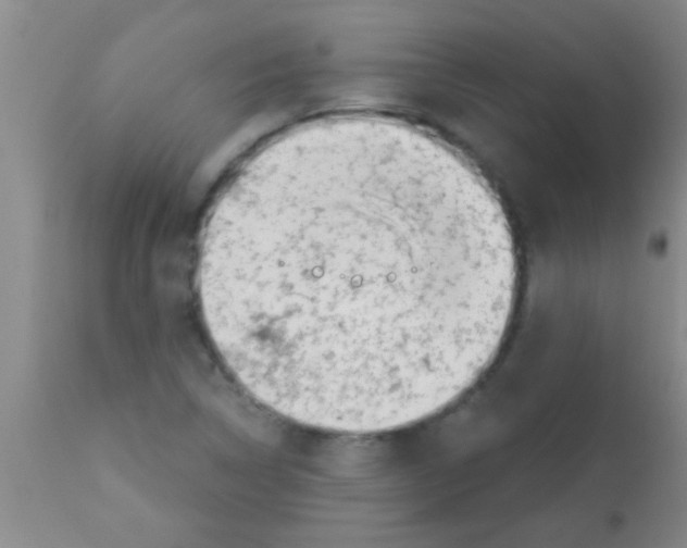 X0000113201314200910221031