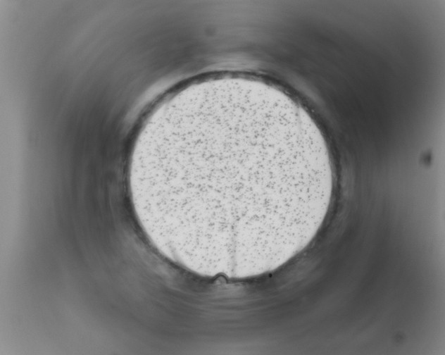 X0000113201315200910221031