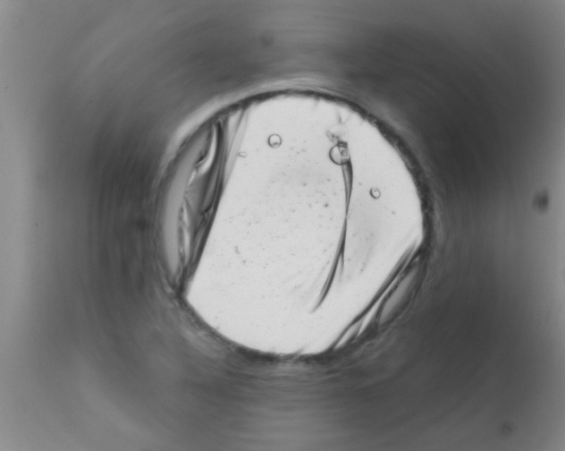 X0000113201316200910221031