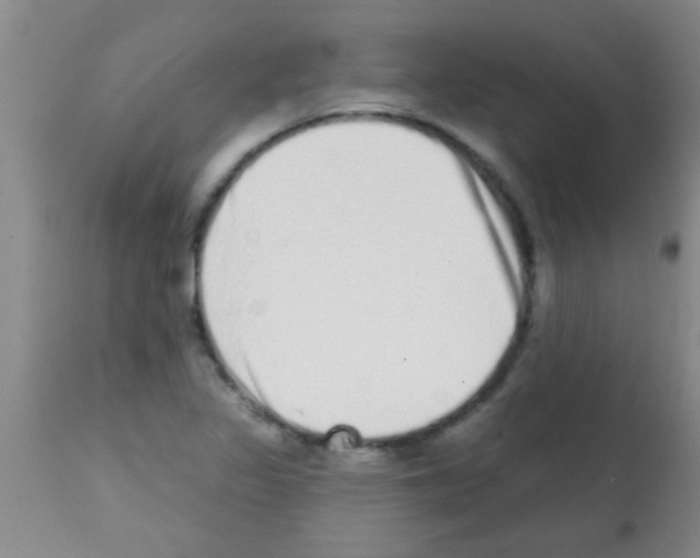 X0000113201317200910221031