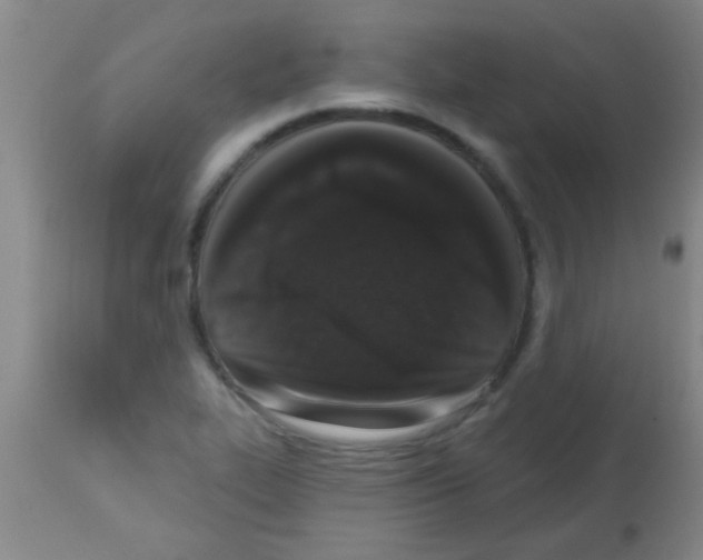 X0000113201319200910221031