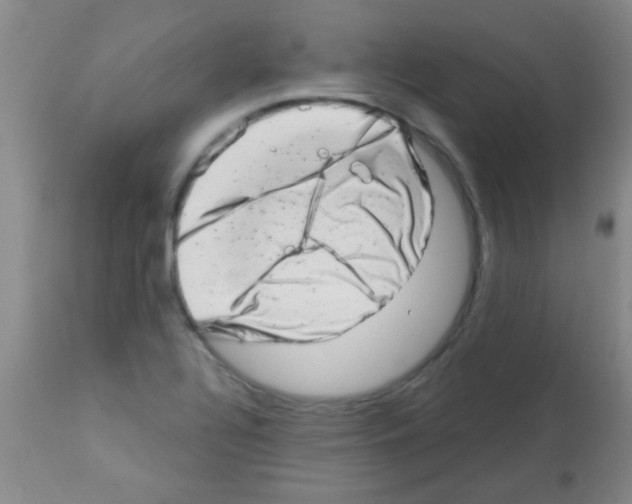 X0000113201320200910221031