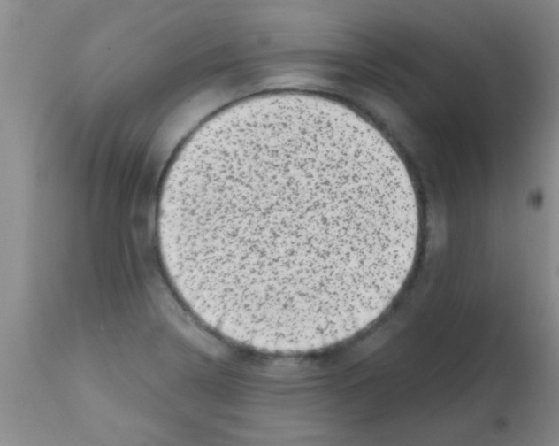 X0000113201322200910221031