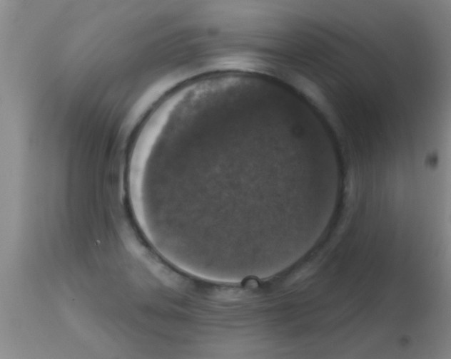 X0000113201323200910221031