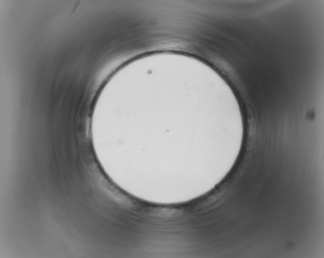 X0000113201324200910221031