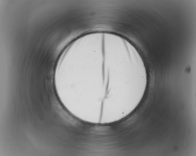 X0000113201325200910221031