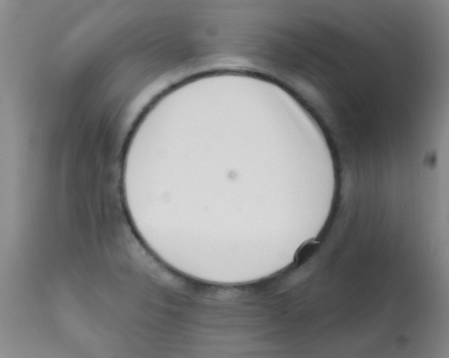 X0000113201326200910221031
