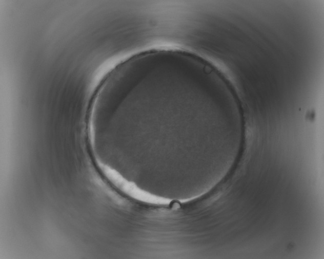 X0000113201327200910221031