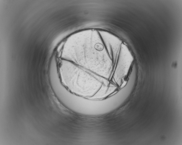 X0000113201328200910221031