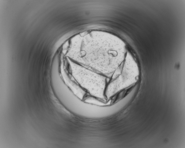 X0000113201330200910221031