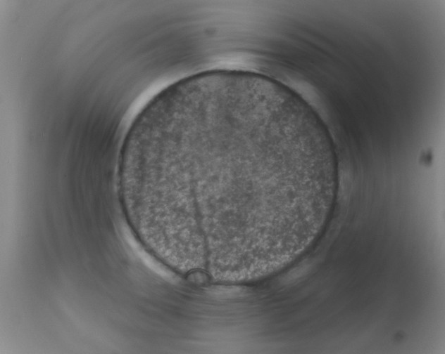 X0000113201331200910221031