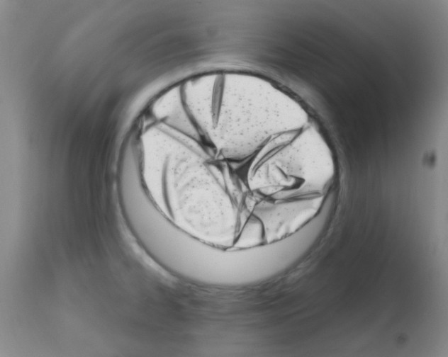 X0000113201334200910221031