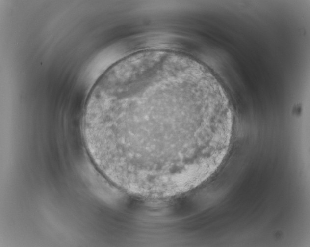 X0000113201338200910221031