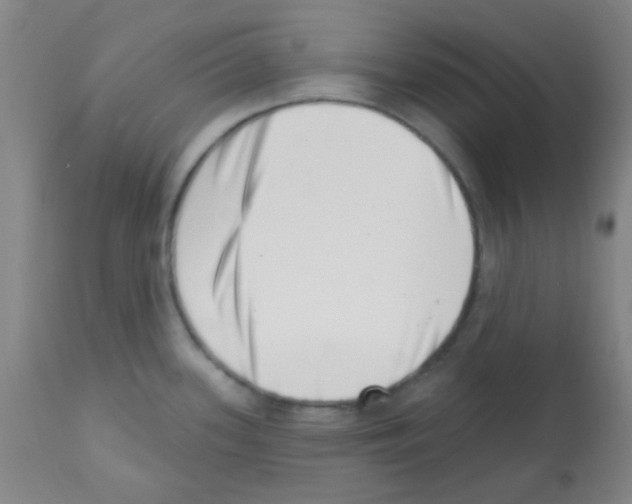 X0000113201339200910221031