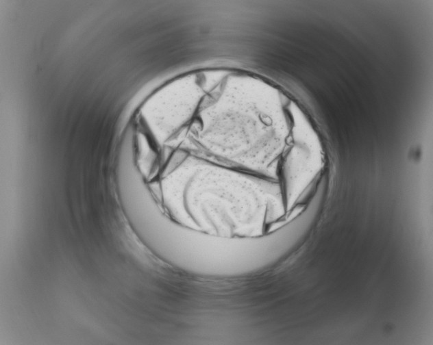 X0000113201340200910221031