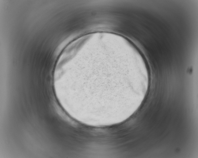 X0000113201341200910221031
