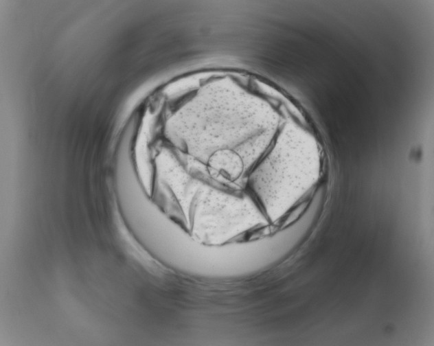 X0000113201342200910221031