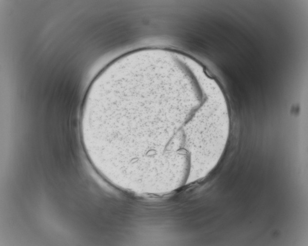 X0000113201343200910221031