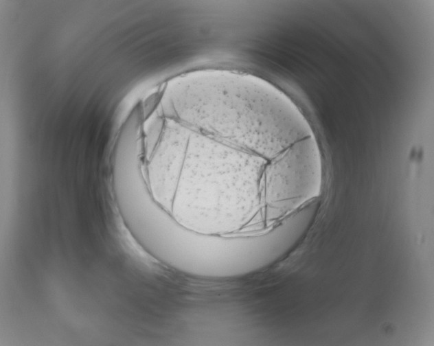 X0000113201344200910221031