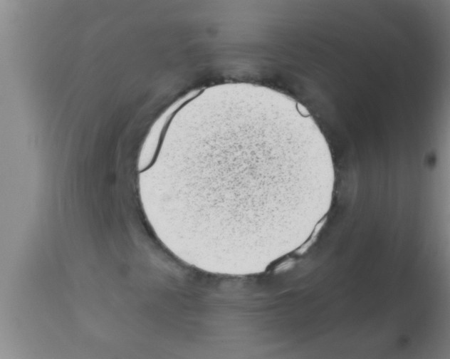X0000113201345200910221031