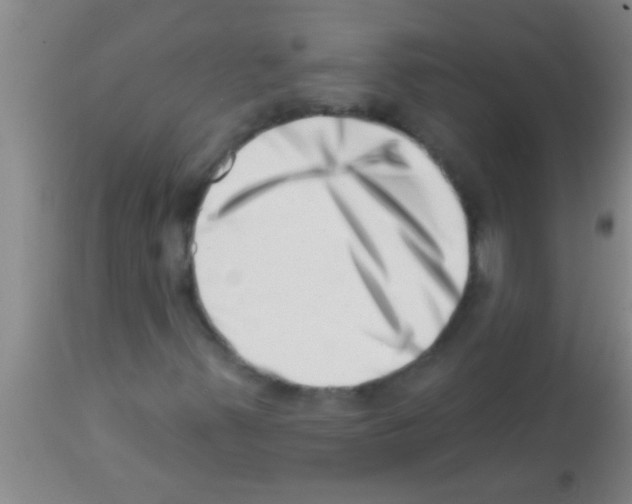 X0000113201347200910221031