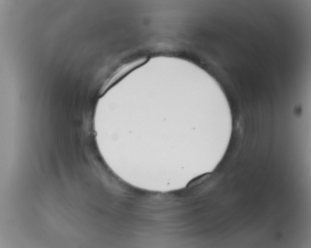 X0000113201348200910221031