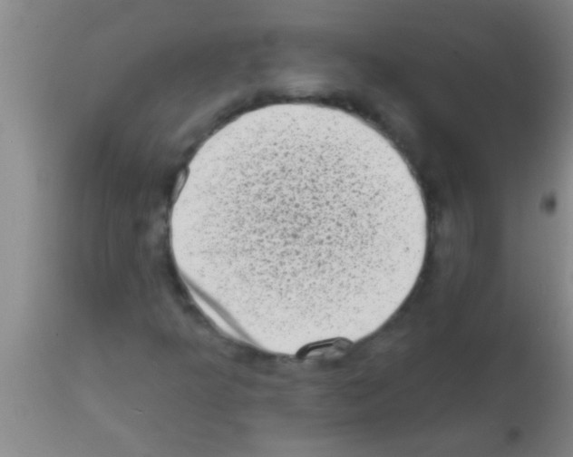 X0000113201349200910221031