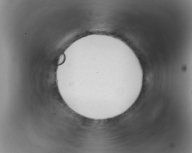 X0000113201350200910221031