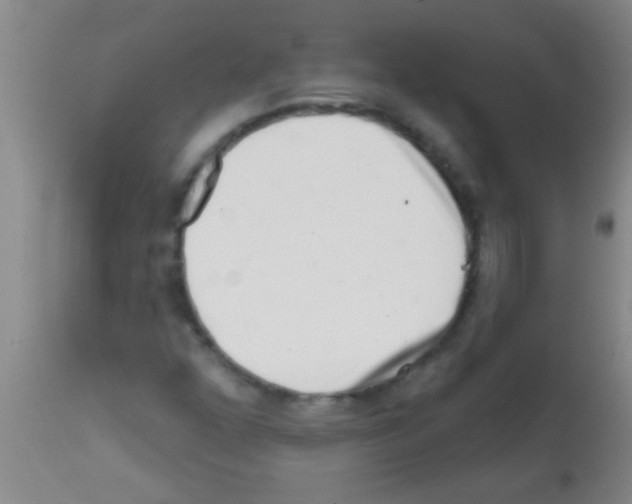 X0000113201352200910221031