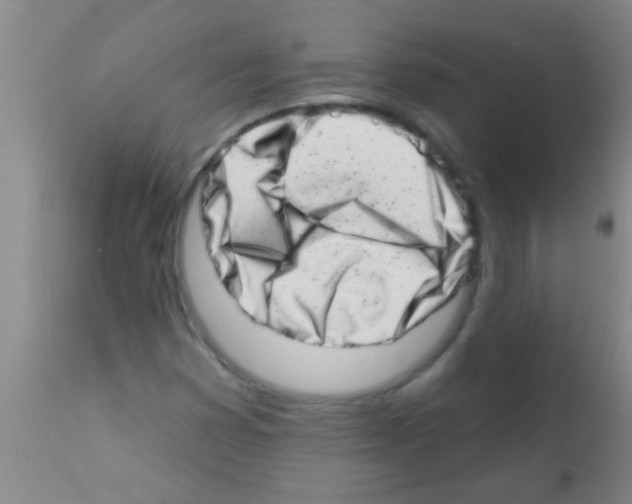 X0000113201353200910221031