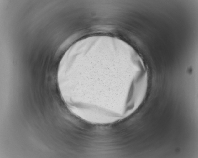 X0000113201354200910221031