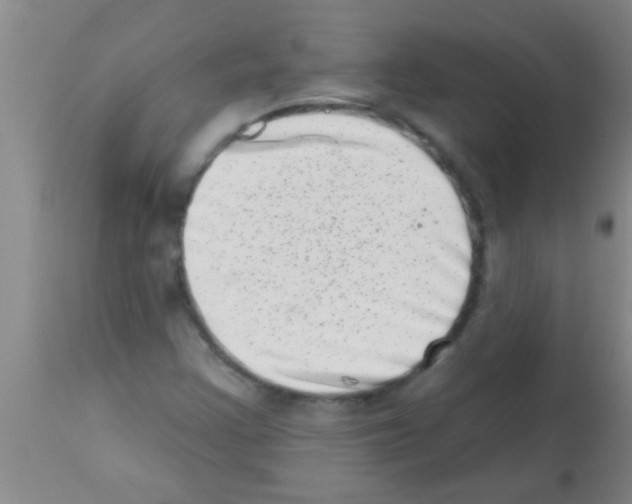 X0000113201355200910221031
