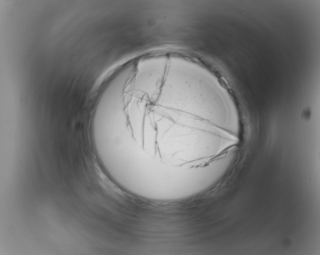 X0000113201356200910221031