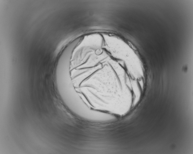X0000113201357200910221031