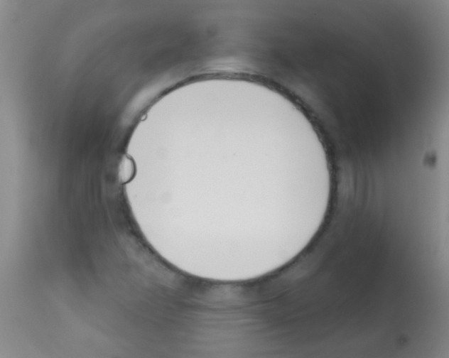 X0000113201358200910221031