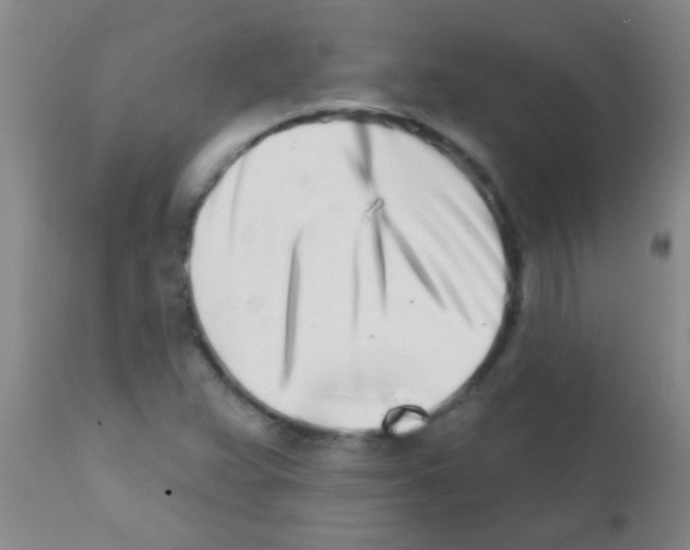 X0000113201359200910221031